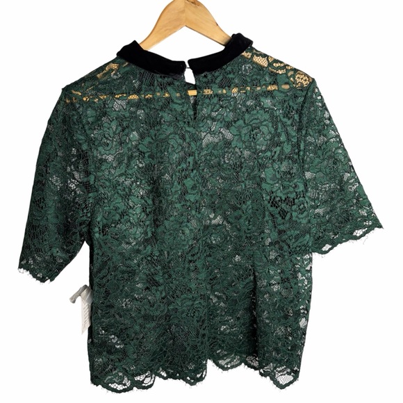 NWT Eloquii green lace sheer blouse with Black velvet Collar size 16 - Picture 2 of 8